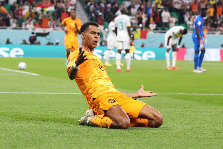 Trực tiếp bóng đá Hà Lan 1-1 Ecuador: Enner Valencia toả sáng - 12