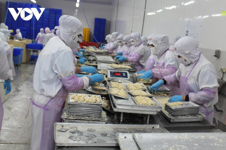 Vì cái khay nhựa, một doanh nghiệp thuỷ sản Việt mất thị trường xuất khẩu vào EU - 1