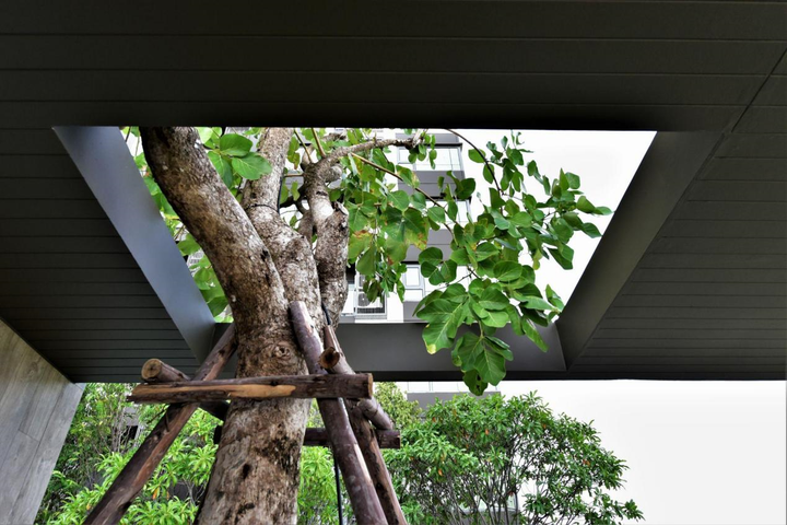 Bí quyết mang cả thiên nhiên vào nhà với giếng trời không mái che - 2