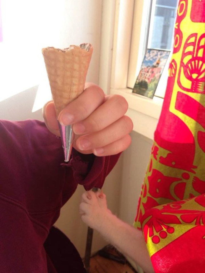 Dở khóc dở cười với màn ăn vụng trắng trợn đầy manh động của hội nhà mèo - 4