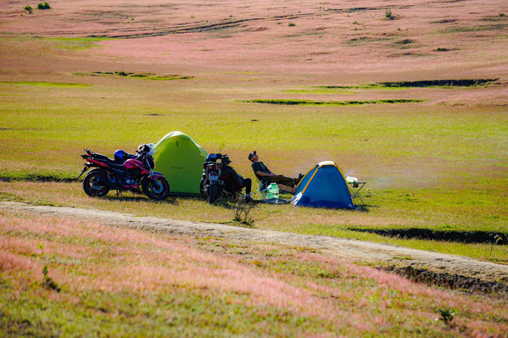 Xao xuyến trước cảnh đẹp như tranh vẽ của đồi cỏ hồng hoang sơ ở Đức Trọng - 2