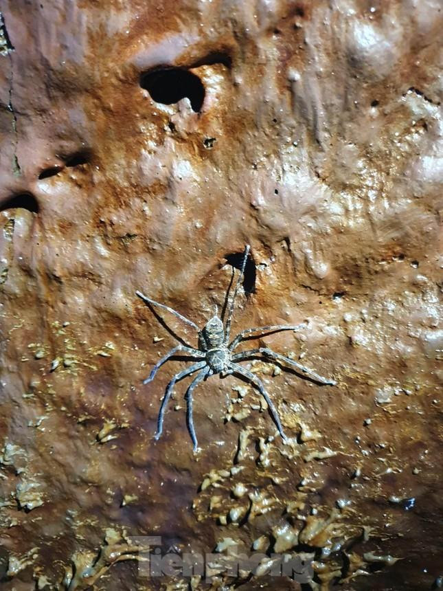 Phát hiện mới về hang động núi lửa dài nhất Đông Nam Á tại Đắk Nông - 4