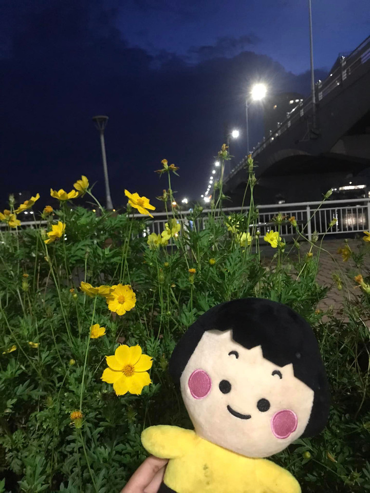 Ra cầu sông Hàn học bài lúc 4 giờ sáng, cô gái gặp phải sự việc không ngờ - 4