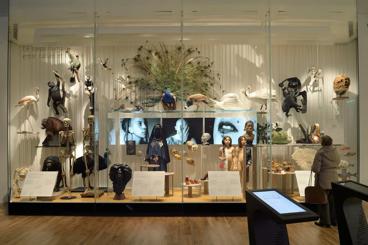 18.000 chiếc sọ người ở bảo tàng Pháp thuộc về ai? - 2