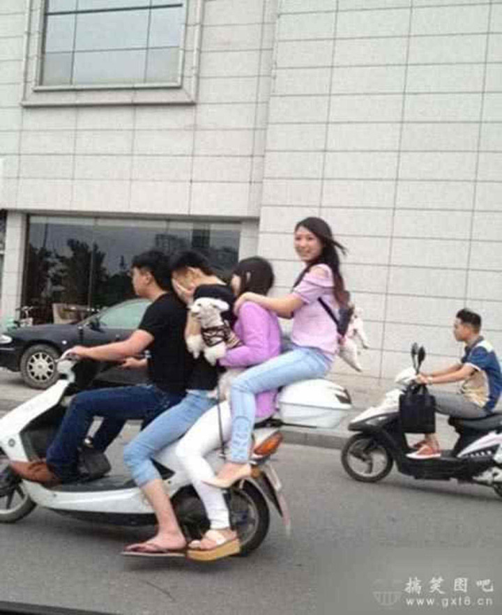 'Từ chối hiểu' các kiểu lái xe không giống ai được dân tình bắt gặp trên đường - 6