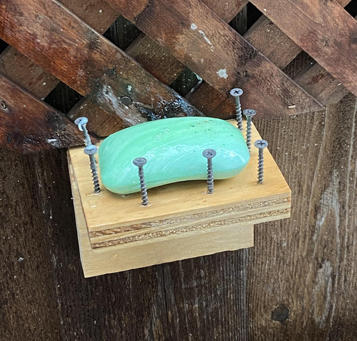 Những ý tưởng hài hước để đối phó với thực tế của hội người 'nhanh trí' - 9