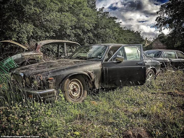 Nghĩa địa xe cổ toàn 'hàng thửa' Jaguar, Austin - 1