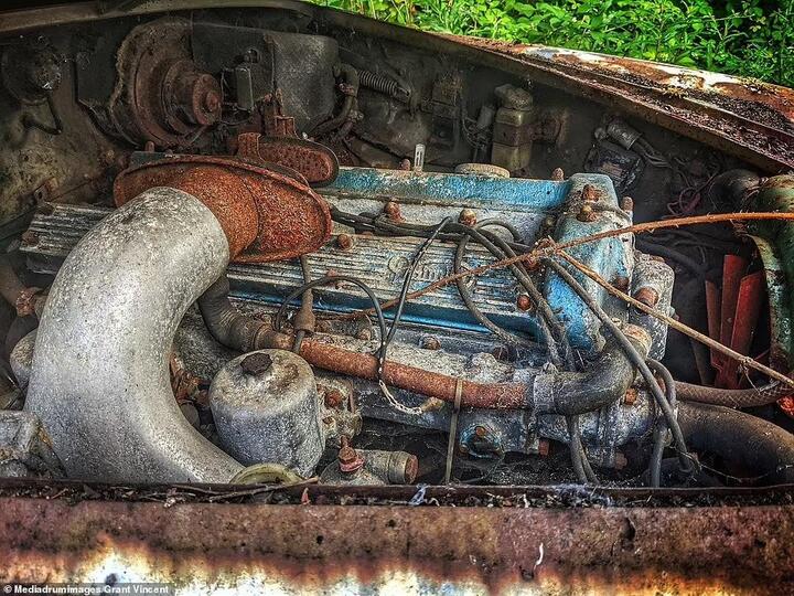 Nghĩa địa xe cổ toàn 'hàng thửa' Jaguar, Austin - 6