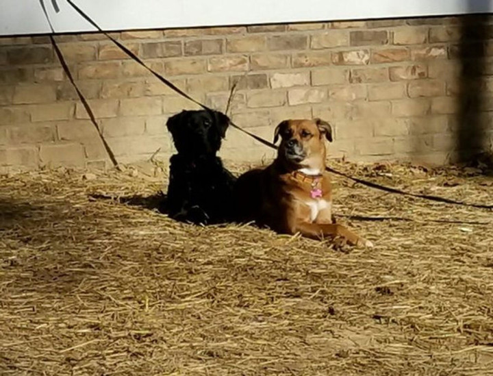 Loạt ảnh chứa điều 'bất thường' gây hiểu lầm, phải nhìn lại nhiều lần mới vỡ lẽ - 9