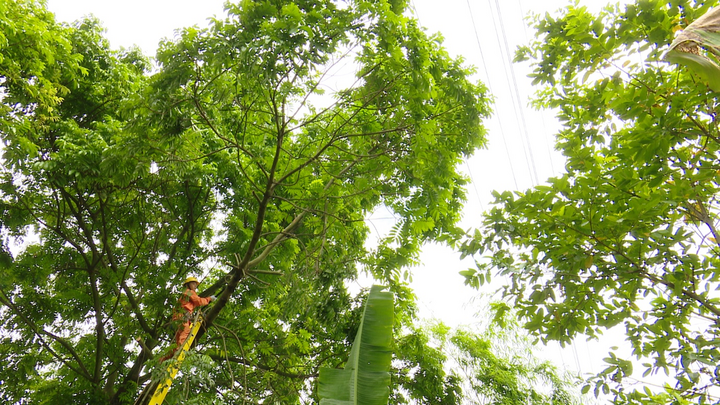 Nâng cao nhận thức người dân về các thiệt hại do không đảm bảo an toàn lưới điện - 1