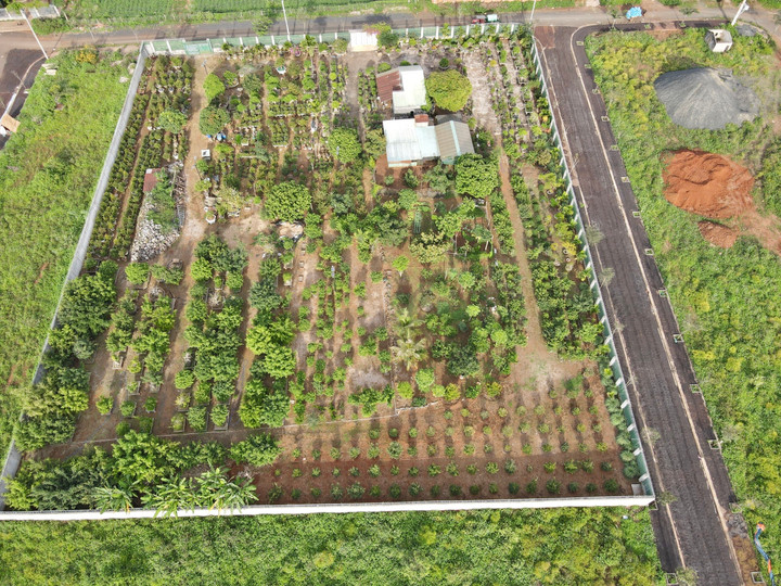 Công an vào cuộc vụ bỏ ngoài quy hoạch 7.000m2 ‘đất vàng’ ở Gia Lai - 1