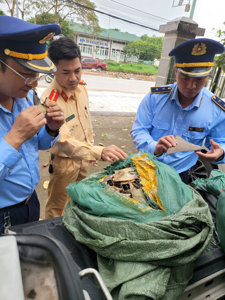 Quảng Ninh: Tạm giữ 30kg vây cá mập khô không rõ nguồn gốc xuất xứ - 1