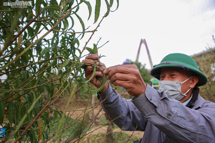 Bộ Lao động - Thương binh và Xã hội thông báo phương án nghỉ Tết Nguyên đán 2023 - 1