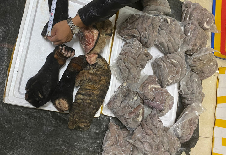 Quảng Bình: Phát hiện phương tiện vận chuyển động vật hoang dã trái phép - 2