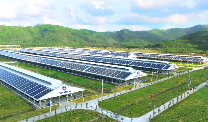 Nhìn lại hơn 1 thập kỷ tạo dựng nền tảng 'bền và vững' của Vinamilk - 7