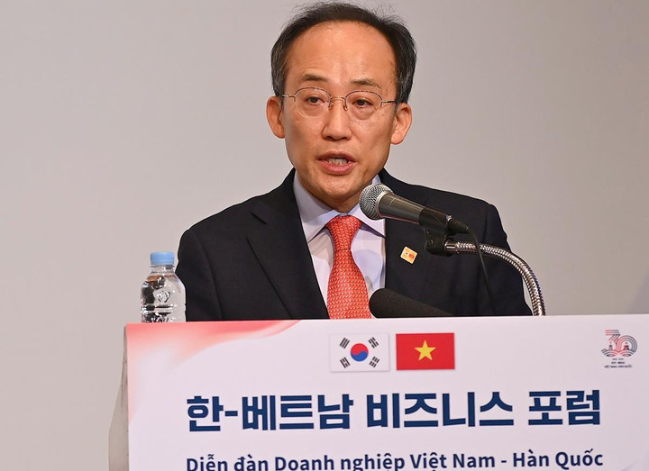 Chủ tịch nước: Việt Nam - Hàn Quốc có nhiều tiềm năng, cơ hội phát triển mạnh mẽ - 3