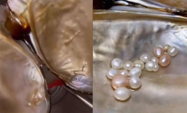 Nuôi một con ngao, người phụ nữ vớt được cả nắm ngọc khi dọn bể - 1