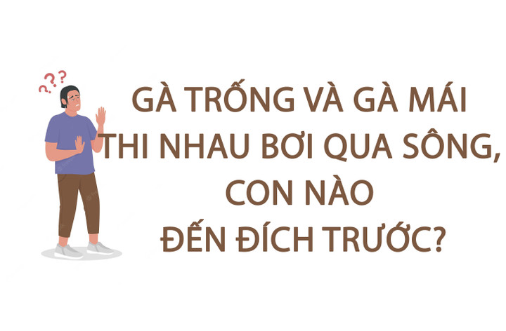 Gà trống và gà mái thi nhau bơi qua sông, con nào đến đích trước? - 1