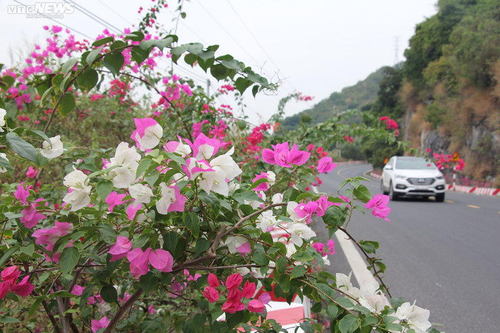 Ngắm cung đường tuyệt đẹp xuyên đảo ngọc đón giải OneWay Marathon Cát Bà 2022 - 4