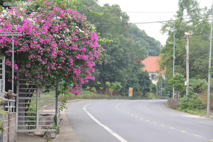 Ngắm cung đường tuyệt đẹp xuyên đảo ngọc đón giải OneWay Marathon Cát Bà 2022 - 6