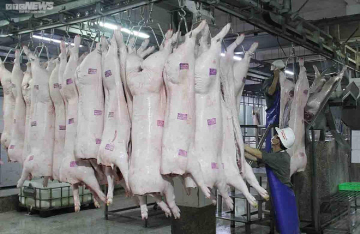 Giá heo hơi hôm nay 11/12: Giảm tiếp 1.000 đồng/kg - 2