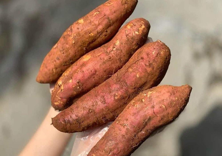 Một củ khoai lang dính đất, Trung Quốc trả lại cả lô hàng - 2