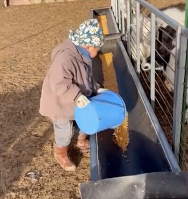 Cậu bé 5 tuổi khiến dân mạng Trung Quốc 'ngả mũ' thán phục - 2