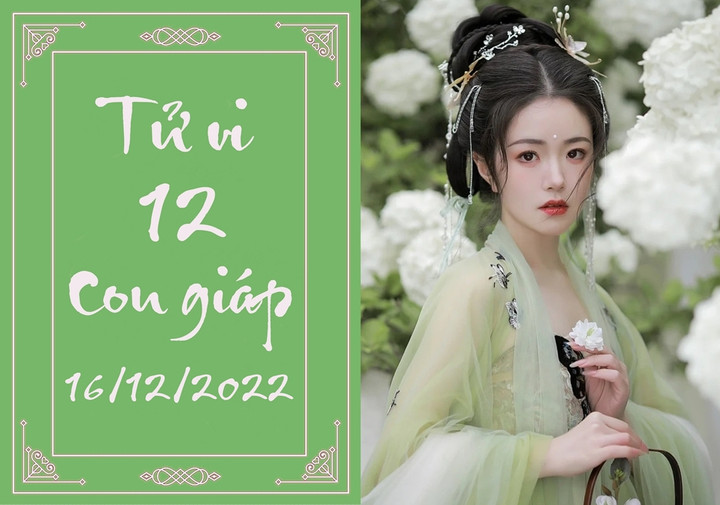 Tử vi vui 12 con giáp hôm nay thứ Sáu 16/12: Mão kiếm tiền tốt, Tỵ đào hoa - 1