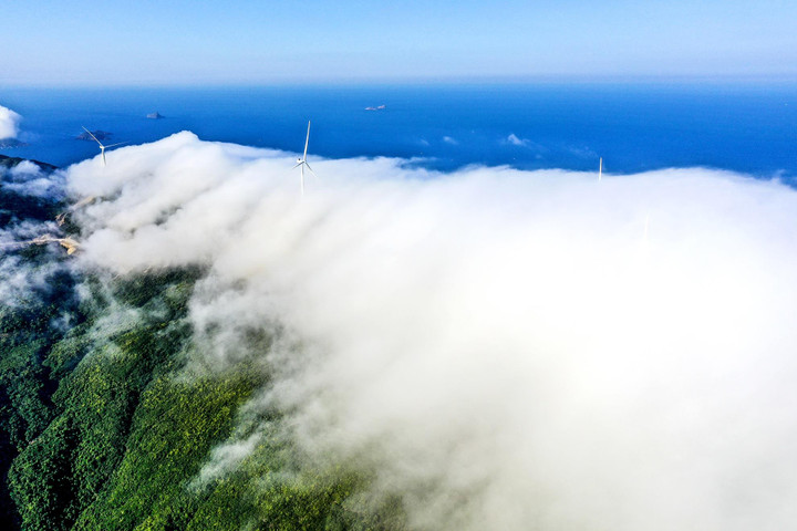 Vẻ đẹp choáng ngợp của cánh đồng điện gió ở Bình Định - 9