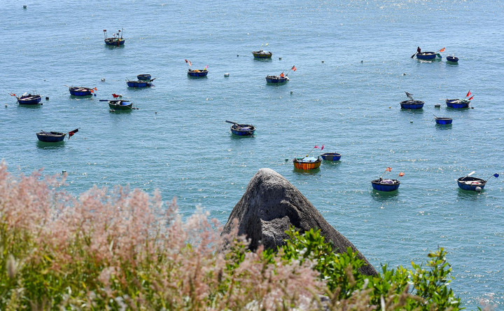 Vẻ đẹp choáng ngợp của cánh đồng điện gió ở Bình Định - 10