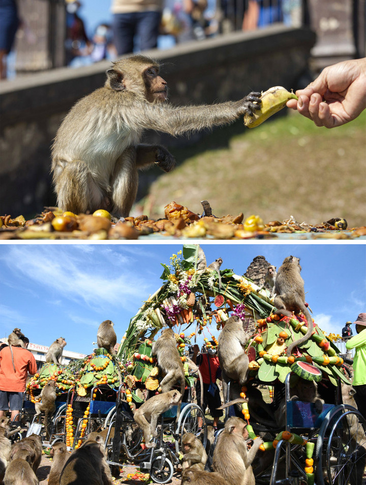 Thi cõng vợ, thiêu phù thủy và loạt lễ hội khó tin nhưng có thật trên thế giới - 2