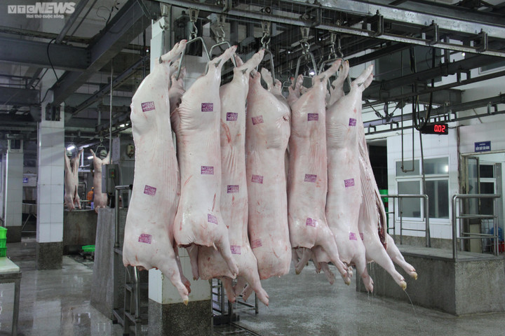 Giá heo hơi hôm nay 15/12: Tăng giảm trái chiều 1.000 đồng/kg - 2