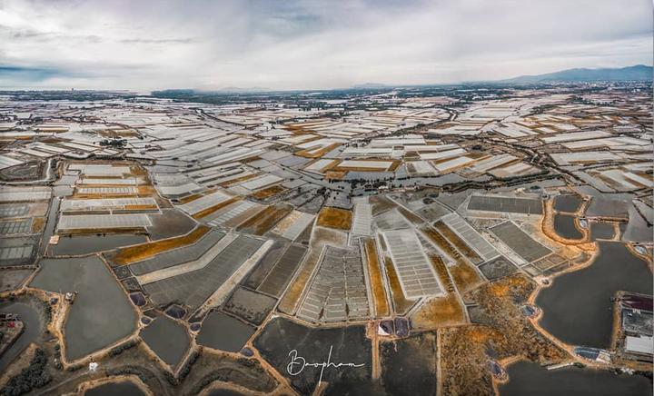 Đi Vũng Tàu nhiều nhưng không phải ai cũng biết cánh đồng đẹp đến say lòng này - 1