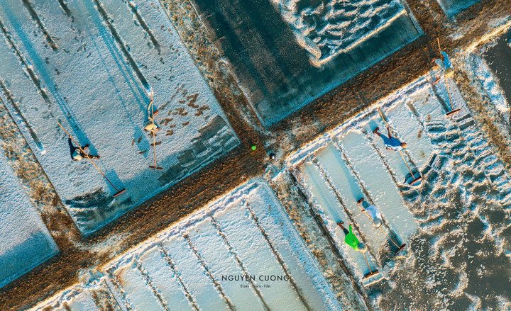 Đi Vũng Tàu nhiều nhưng không phải ai cũng biết cánh đồng đẹp đến say lòng này - 6