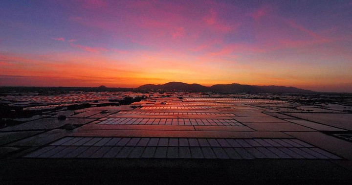 Đi Vũng Tàu nhiều nhưng không phải ai cũng biết cánh đồng đẹp đến say lòng này - 8