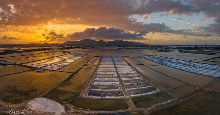 Đi Vũng Tàu nhiều nhưng không phải ai cũng biết cánh đồng đẹp đến say lòng này - 3