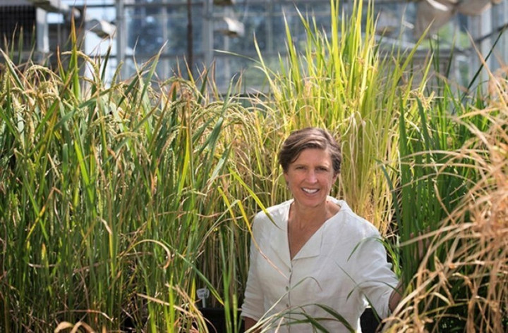 Giáo sư Mỹ khuyên người trẻ Việt hướng đi thành công từ lĩnh vực nông nghiệp - 2