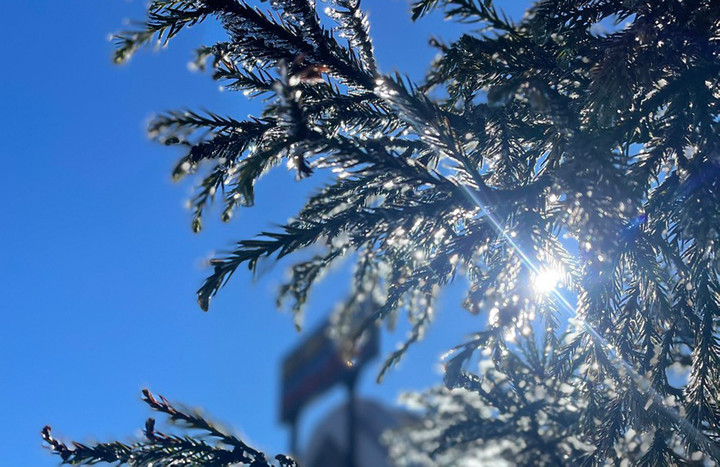 Nhiệt độ xuống dưới 0 độ C, đỉnh Fansipan xuất hiện băng giá - 7