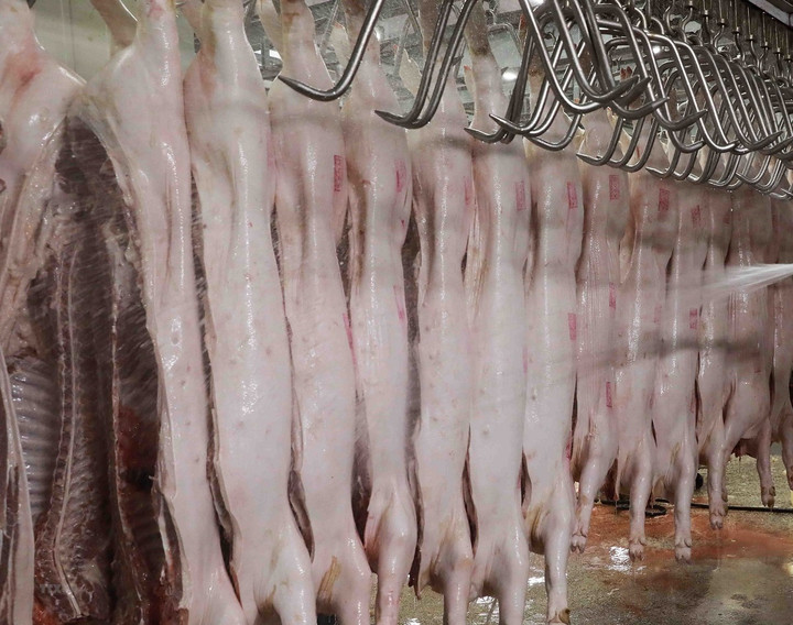 Giá heo hơi hôm nay 18/12: Đi ngang trên diện rộng - 2