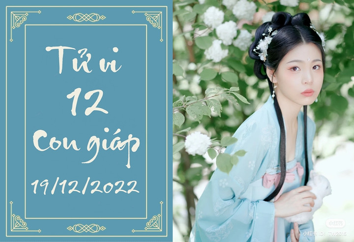 Tử vi 12 con giáp hôm nay thứ Hai ngày 19/12: Ngọ bớt áp lực, Mão chớ nói dối - 1