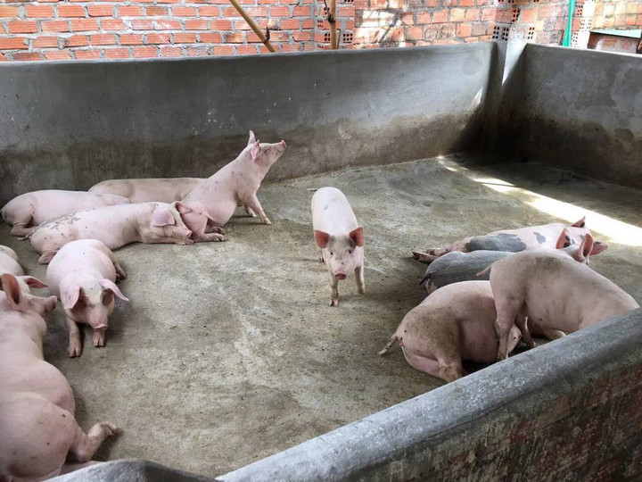 Không gian sống của ca sĩ Siu Black tại quê nhà Tây Nguyên - 3