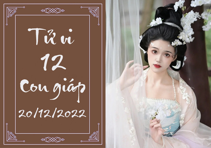Tử vi vui 12 con giáp hôm nay thứ Ba ngày 20/12: Ngọ gặp may, Mão dễ bị lừa - 1