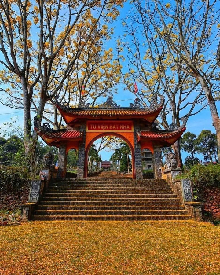 Khung cảnh lãng mạn như phim ở tu viện Bát Nhã khi mùa phượng vàng nở - 2