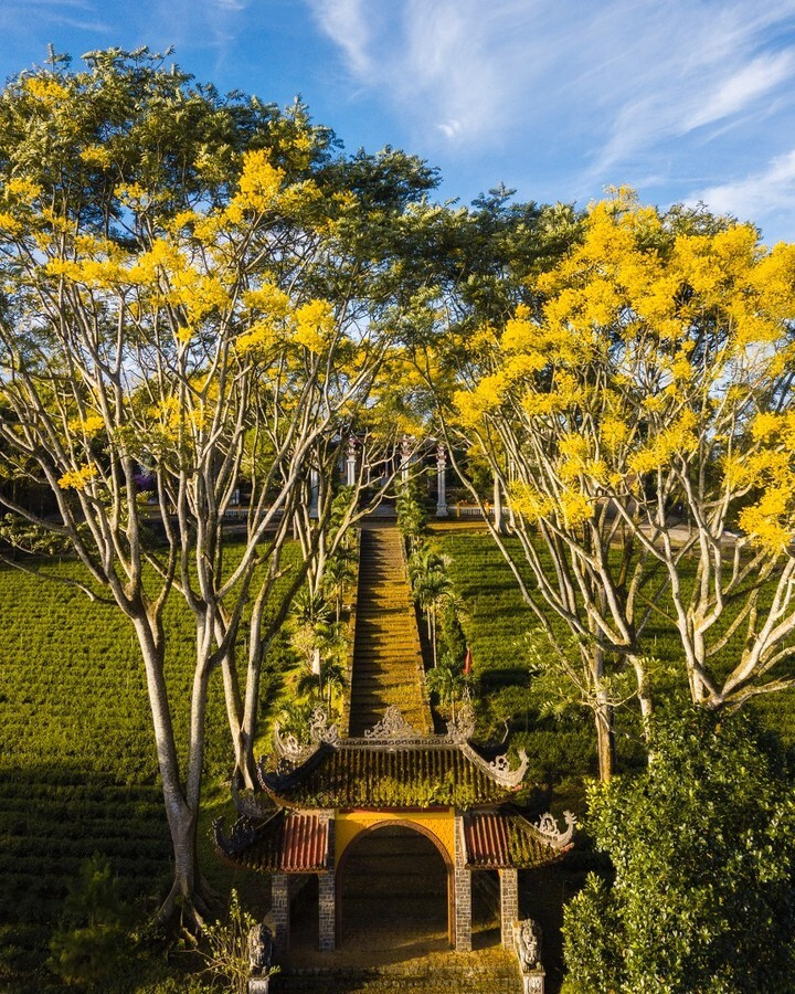 Khung cảnh lãng mạn như phim ở tu viện Bát Nhã khi mùa phượng vàng nở - 6