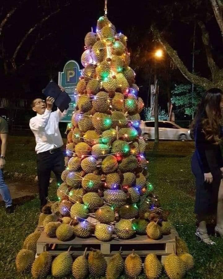 Bái phục trước các ý tưởng trang trí cây thông Giáng sinh không ai nghĩ đến - 3