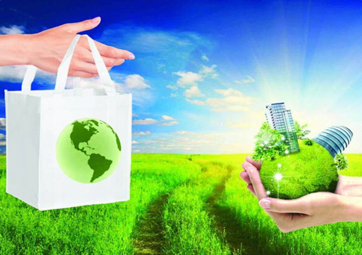 Nhận thức của doanh nghiệp về sử dụng bao bì thân thiện môi trường - 1