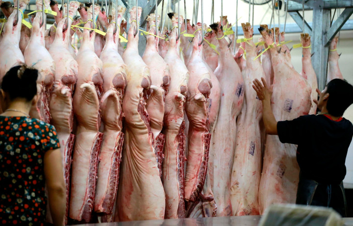 Giá heo hơi hôm nay 21/12: Thị trường ổn định, tăng giảm không đáng kể - 1