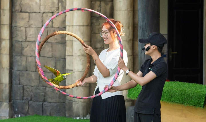 Đón Giáng sinh ấm áp tại Sun World Ha Long - 5