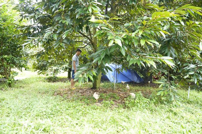Chuyện lạ: Làm nhà 'trên trời' hứng... phân dơi - 5