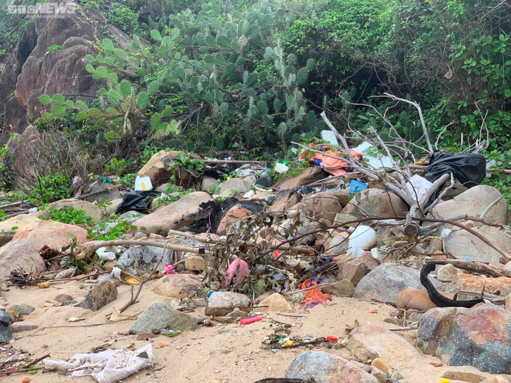 Bình Định: Vì sao rác thải tại các khu du lịch, nghỉ dưỡng ở Ghềnh Ráng ứ đọng? - 3